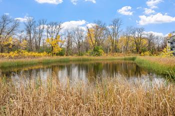 Community pond